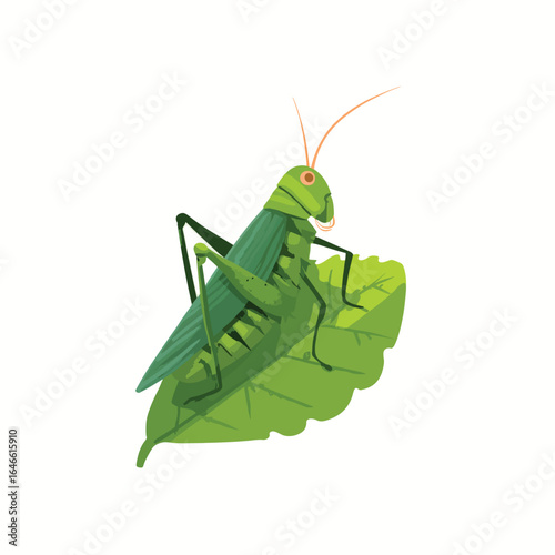 Detailed Illustration of a Green Grasshopper Resting on a Leaf (1)