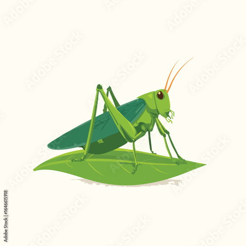Detailed Illustration of a Green Grasshopper Resting on a Leaf