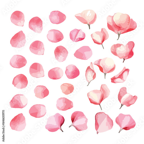 watercolor Pink rose petals scattered illustration