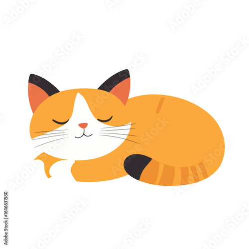 Sleeping ginger cat with white markings and closed eyes curled up peacefully