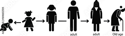 Life cycle and aging process of human development stages from baby to child, teen, adult, and old age, showing progress and change over time