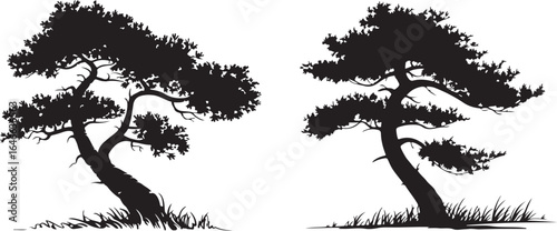 Silhouette of Bonsai Trees - Elegant Black and White Tree Illustrations