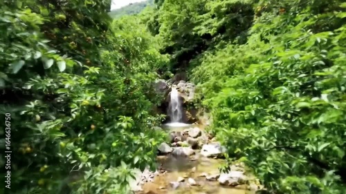 Forested waterfall flows through rocky stream