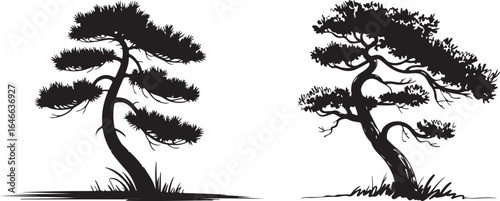 Silhouette of Bonsai Trees - Elegant Black and White Tree Illustrations