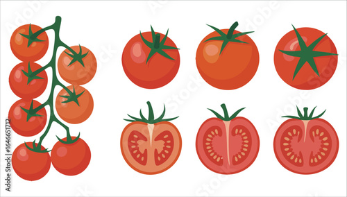 juicy red tomato assortment vector graphic plain background