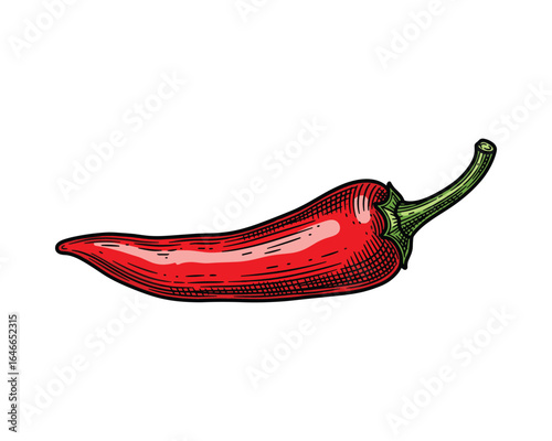 Detailed vector of a spicy red chili pepper with an engraved texture and vibrant green stem.