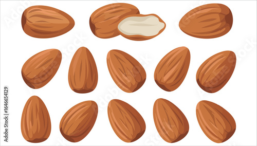 raw whole almonds vector art isolated white background