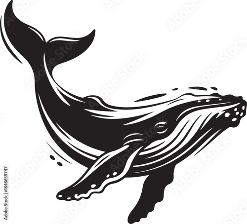 Humpback Whale Vector Illustration with Detailed Line Work and Ocean Theme