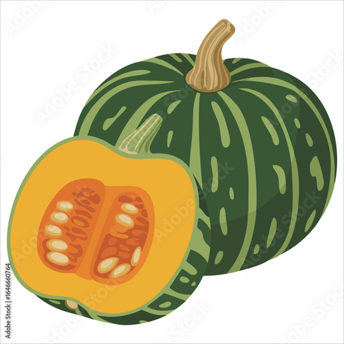 healthy vitamin rich pumpkin vector image plain white