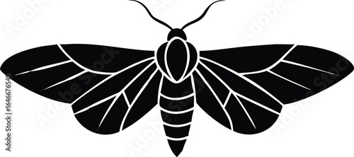 Black Silhouette of a Moth with Detailed Wings on White Background insect butterfly