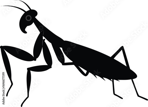 Black Silhouette of a Praying Mantis on White Background insect