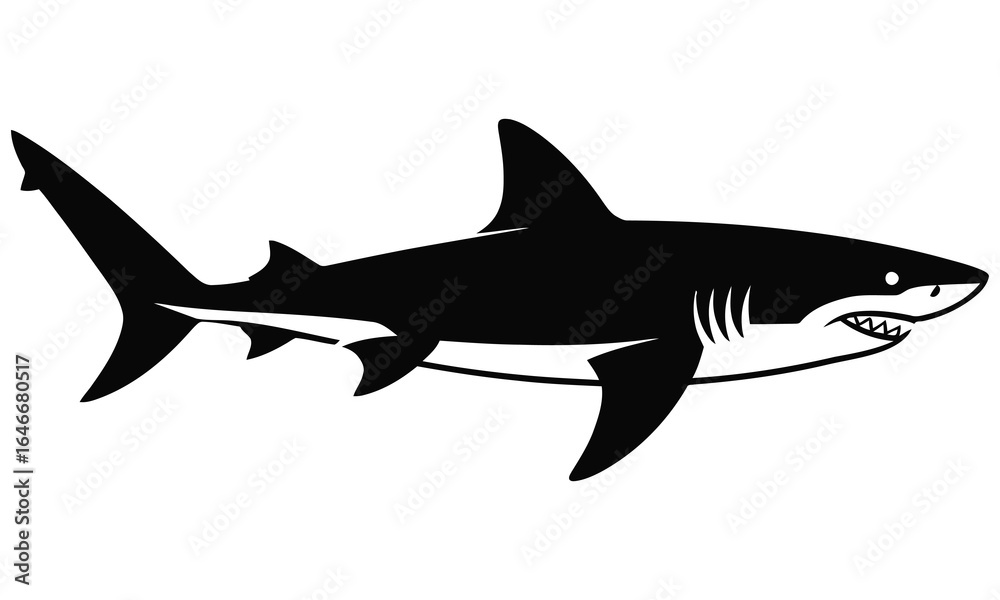 Obraz premium shark vector illustration