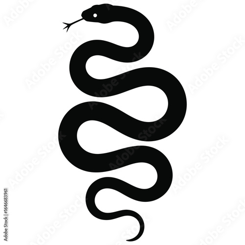 snake vector illustration