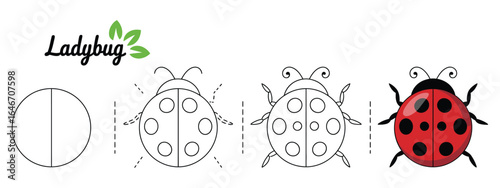 Easy ladybug drawing tutorial with step-by-step instructions. A simple guide for kids to learn how to draw a cute insect illustration.