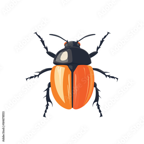Striking Orange and Black Beetle Illustration TopDown View