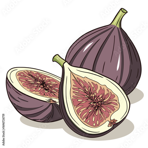 Vector illustration of a fresh ripe purple fig, whole and cut in half to show the sweet flesh and seeds, isolated on a white background