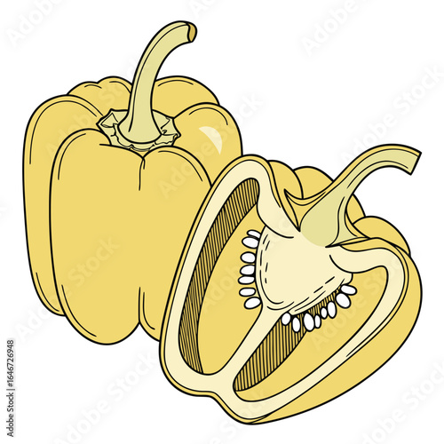 Yellow Bell Pepper Illustration - Fresh Organic Vegetable