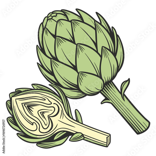 Artichoke Illustration Fresh, Detailed Drawing of Artichoke Heart and Whole Artichoke