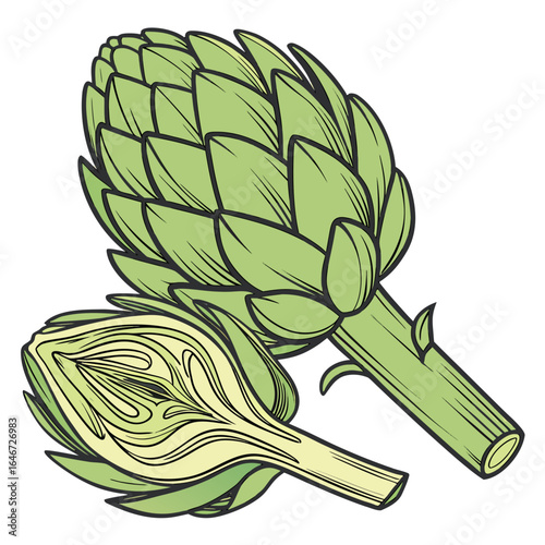 Vector drawing of a ripe artichoke vegetable, whole and cut in half, isolated on a white background.