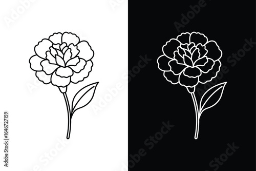 Stylish Black and White Carnation Flower Line Illustration
