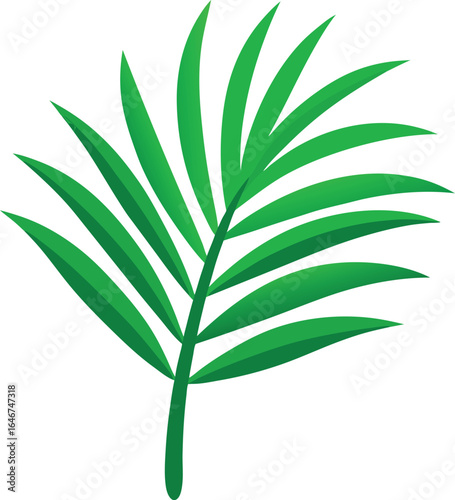 green palm leaf frond on transparent background