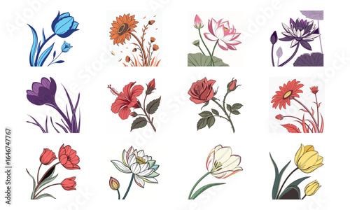 Beautiful Collection of Colorful Flower Illustrations Featuring Roses, Tulips, Lotus, Hibiscus, Daisies, and Seasonal Blossoms for Botanical Art and Design Projects