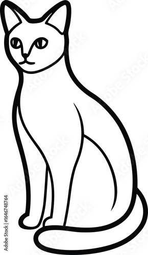 black cat on white background