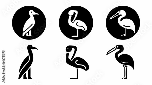 Illustrations of stylized birds in black and white showcasing different species and poses in simple design silhouette