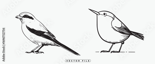 Black and white vector illustration of birds standing on one leg
