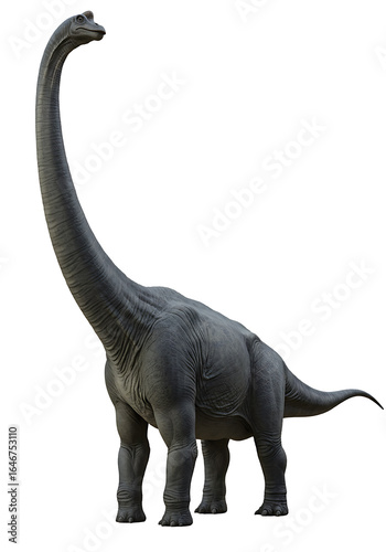 Realistic 3D rendering of a long-necked Brachiosaurus dinosaur, full body on a white background.