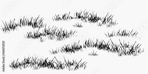 Vector illustration of several patches of grass in varying densities across a white background with dark strokes