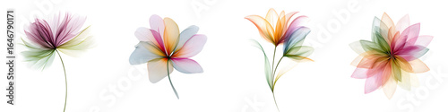 Abstract Floral Watercolor Set: Delicate Flower Illustrations on White