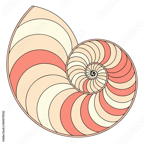 A stylized illustration of a nautilus shell showcasing the iconic logarithmic spiral pattern with alternating coral and cream colored segments