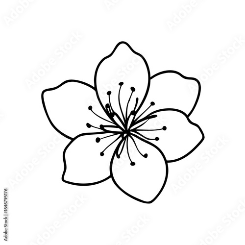 Delicate outline icon of a cherry blossom flower in black-and-white style with fine petal details.