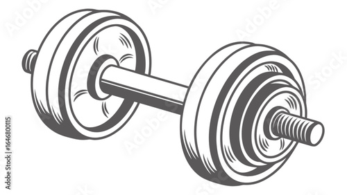 Dumbbell weightlifting fitness gym exercise training strength workout equipment vector illustration design