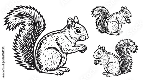 Three squirrels in black and white with bushy tails in various poses and sizes on a white background created with generated ai