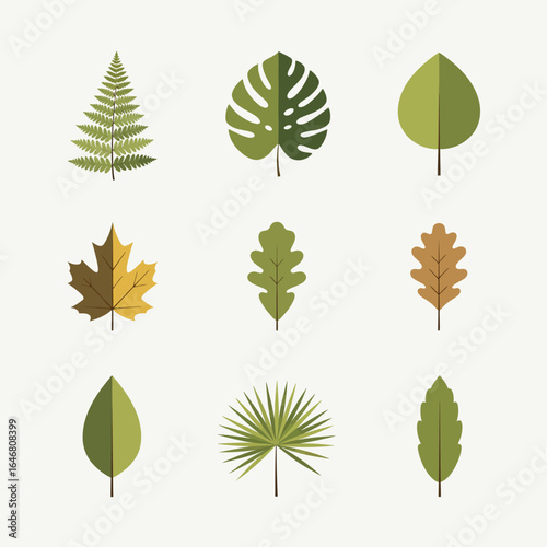 Assorted Leaf Shapes and Tree Leaves Flat Icons