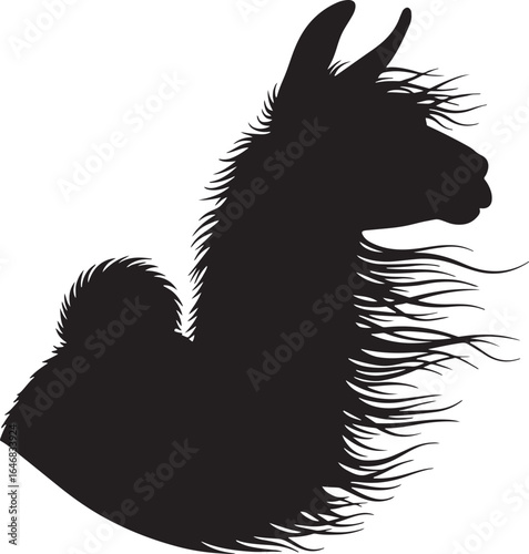 Profile portrait of a shaggy llama with thick hair blowing in the wind silhouette