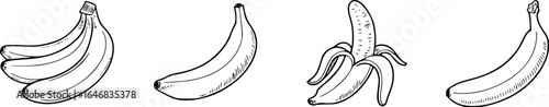 Four bananas one peeled bunch fruit food