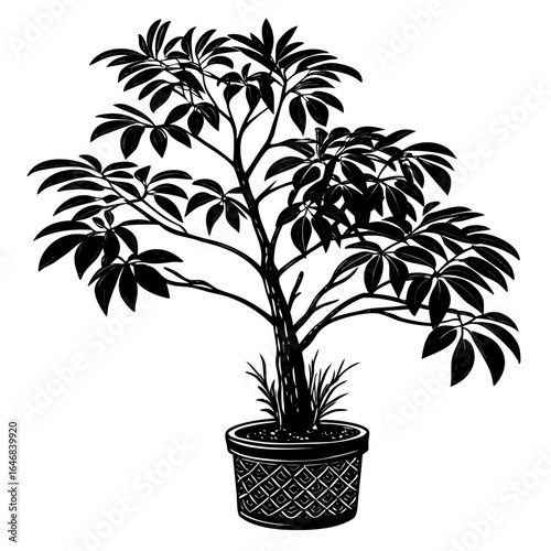 "Realistic silhouette of a potted indoor plant in solid black fill, ideal for minimalist designs, home decor themes, and botanical vector art."