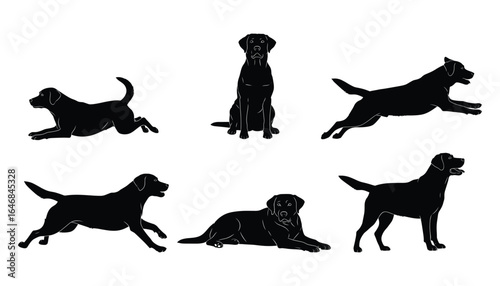 Black Labrador Retriever Silhouettes in Various Poses on White Background Canine Companions and Loyal Pets Vector Illustration