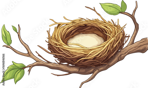 Cartoon bird nest on a tree branch with leaves illustration