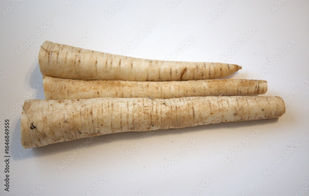 A bunch of fresh white carrots arranged on a clean white background, photographed in close-up with copy space for design or recipe use. A bunch of fresh white carrots arranged on a clean white background, photographed in close-up with copy space for design or recipe use.