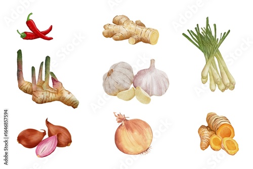 Various of spices set on white background. Watercolor of chili, lemongrass, ginger, garlic, onion, turmeric, shallot, galangal isolated. Hand drawn of spices
