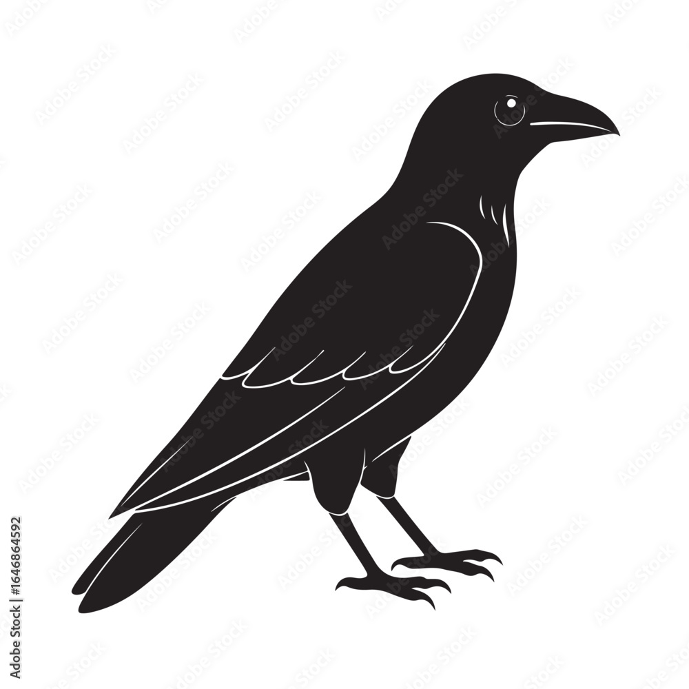 Obraz premium Crow silhouette white background