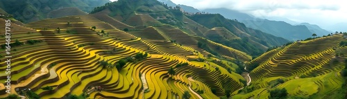 Rice Terraces: Stairway to the Sky