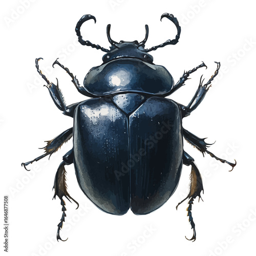 watercolor vector of Dung Beetle, isolated on a white background.