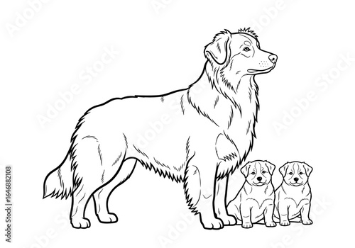 Outline illustration of an Australian Shepherd dog with two puppies, pet and family concept, coloring page