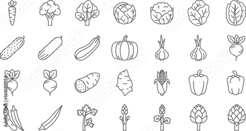 Vector icon sheet of various vegetables, including carrots, broccoli, cabbages, cucumbers, zucchini, pumpkins, garlic and more, in a line art style