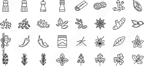 Vector icon sheet of various spices and herbs, including pepper, salt, cinnamon, clove, nutmeg, ginger, chili, turmeric, basil, parsley, and oregano